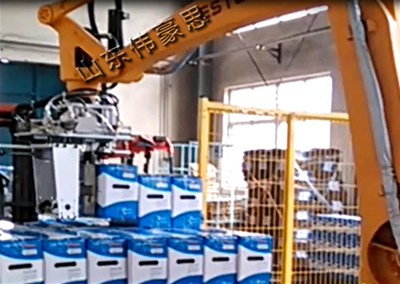 非標(biāo)定制機械手碼垛機 自動箱式機器人碼垛機視頻 